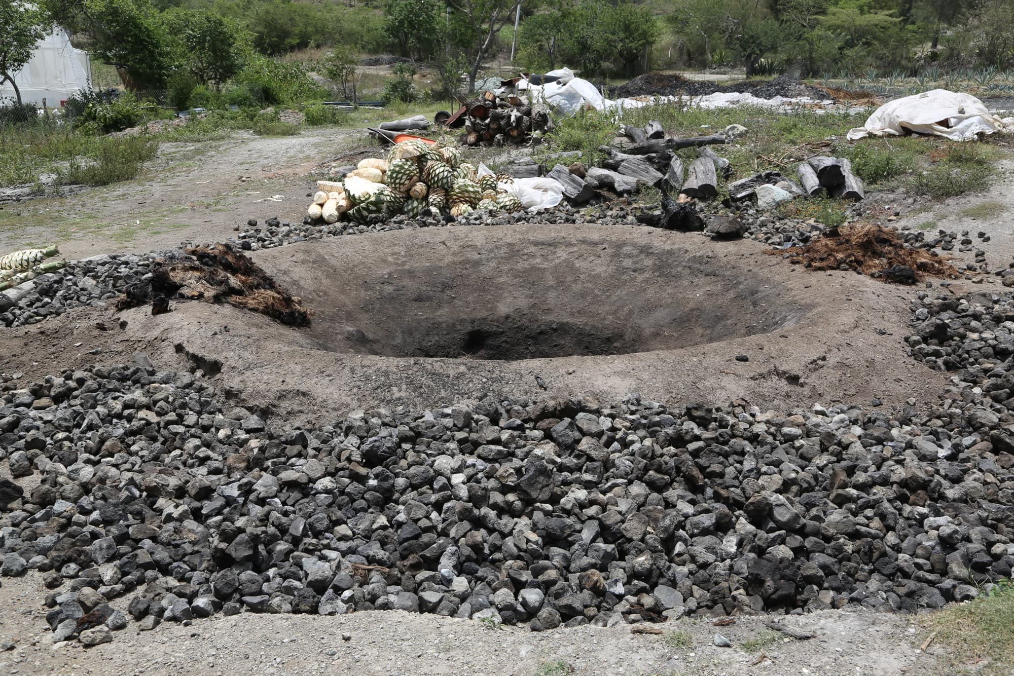 Agave roasting in the earthen pit — Mr. Mezcal, Oaxaca